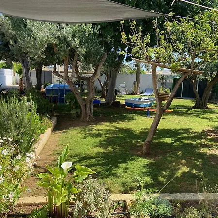 La Senia