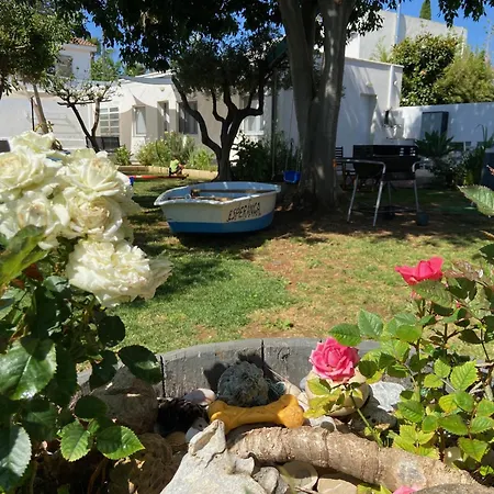 La Senia